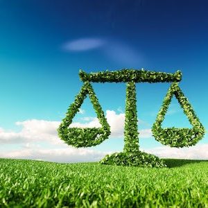 ¿Qué hacen los abogados ambientalistas?